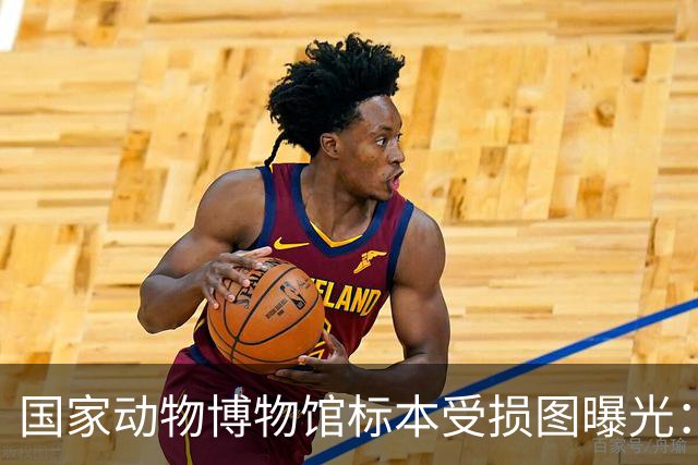 国家动物博物馆标本受损图曝光：舌头断裂、腹部开裂；“家长一开始不承认触摸标本，听说每年防腐洗了2分钟手”，标本捐赠者曾9次被蛇咬伤