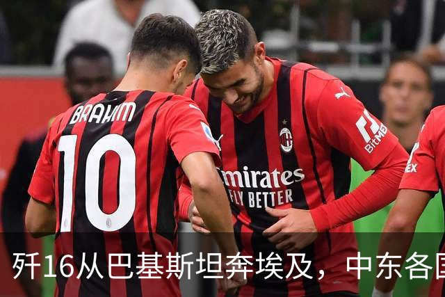 歼16从巴基斯坦奔埃及，中东各国开放领空，7千公里一路畅通无阻