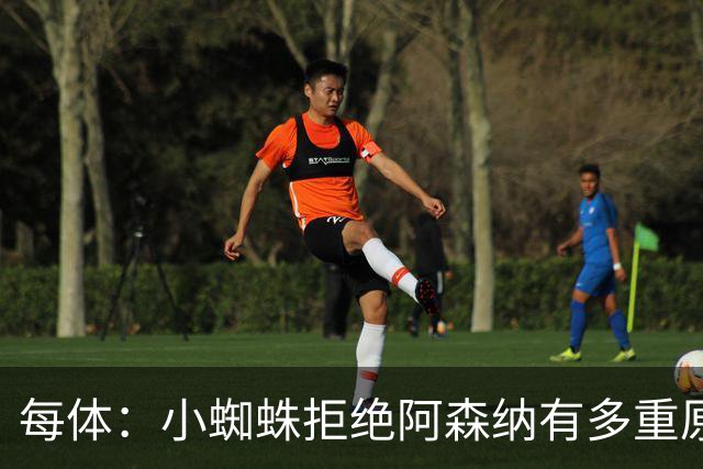 每体：小蜘蛛拒绝阿森纳有多重原因，他与曼城感情深厚不想交手